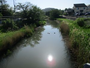 29(2)IMG_2398 十文字橋からの古隅田川
